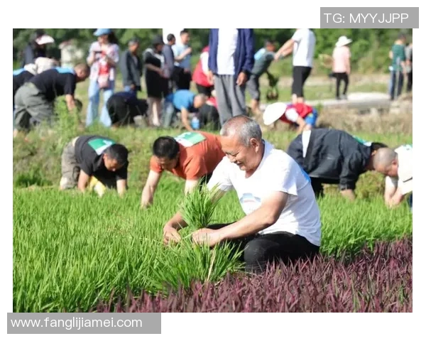 宁夏山屿海与北京北控直播对决精彩纷呈球迷热情高涨不容错过 宁夏山屿海与北京北控直播对决精彩纷呈球迷热情高涨不容错过