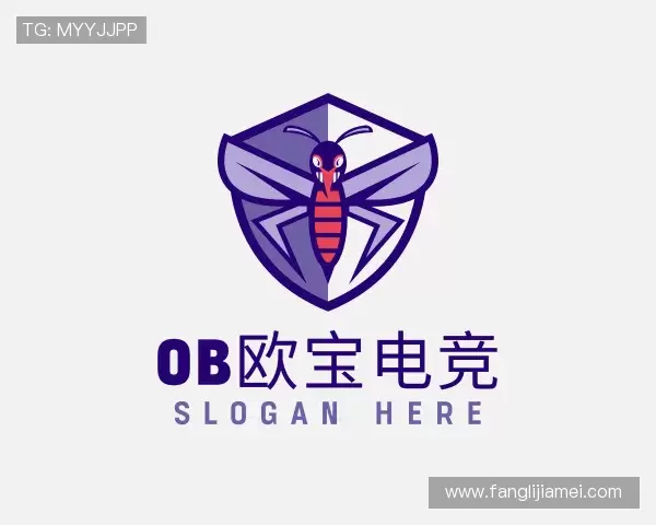 了解ob欧宝电竞